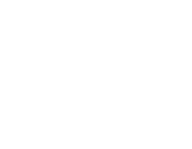 Imagen de Fortinet - Tikendo