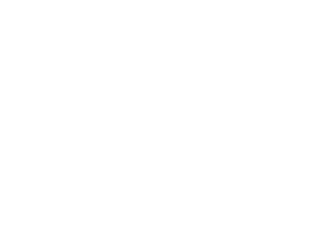 Separador decorativo Fortinet México - Tikendo